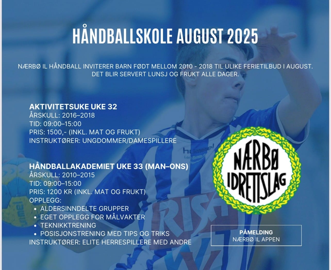 håndballskule